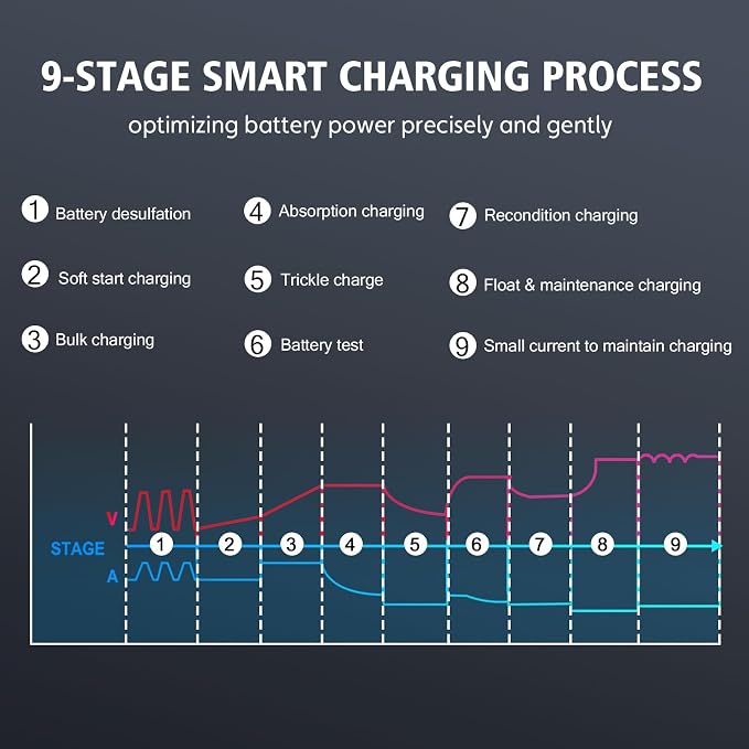 Haisito 20 Amp Lithium Battery Charger, 12V and 24V Lifepo4, Lead-Acid Portable - Image 8