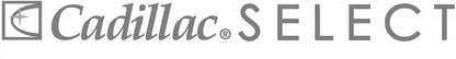 Cadillac Select Premium Leather Care Kit - Image 8
