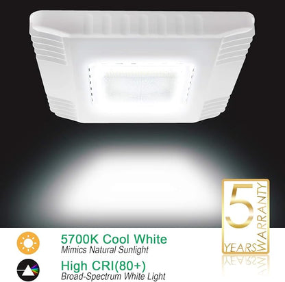OSTEK 2 Pack LED Gas Station Canopy Light, 150W Carport Ceiling Light 5700K - Image 2