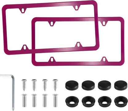 LivTee 4 Holes Stainless Steel License Plate Frames, Automotive Exterior by LivTee