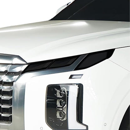 BOGAR TECH DESIGNS Full Headlight Head Light Tint Kit Compatible by BogarTechDesigns