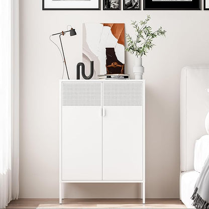 2 Mesh Door Metal Storage Cabinet by Washsemba
