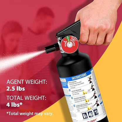 ABC Dry Powder Fire Extinguisher, 2.5 lb – 1-A:10-B:C Rated, Fire Extinguisher - Image 2