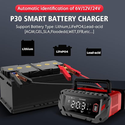 30 Amp Lithium Battery Charger, 6V/12V/24V Lifepo4, Lead-Acid Portable Car - Image 2