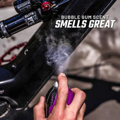 Slick Products Shine & Protectant, Long-Lasting High-Gloss Clear Coat Spray - Image 8