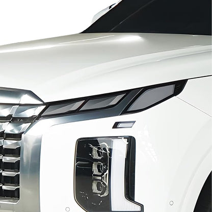 BOGAR TECH DESIGNS Full Headlight Head Light Tint Kit Compatible by BogarTechDesigns