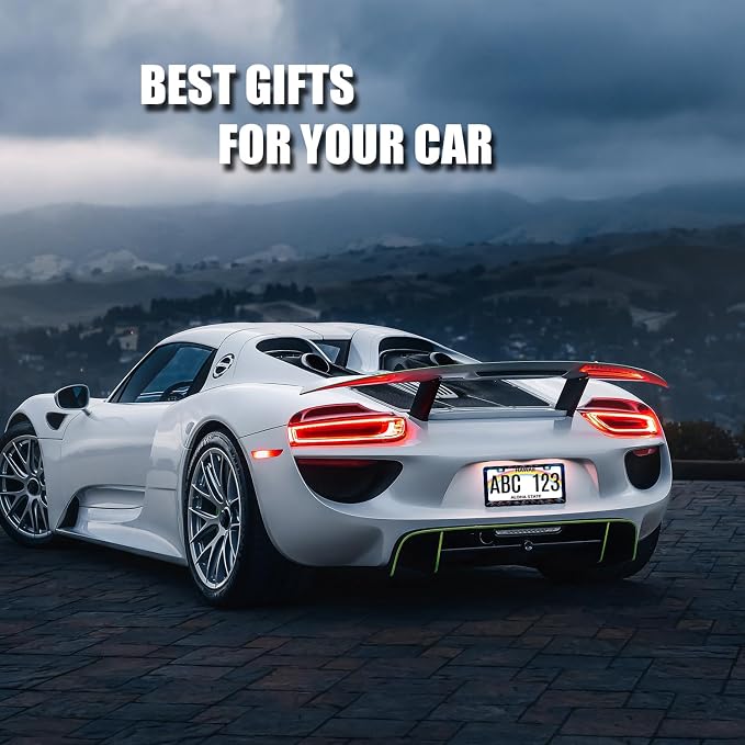 Sea Turtle License Plate Frame Blue Turtles License Plate Stainless Steel Ocean - Image 5