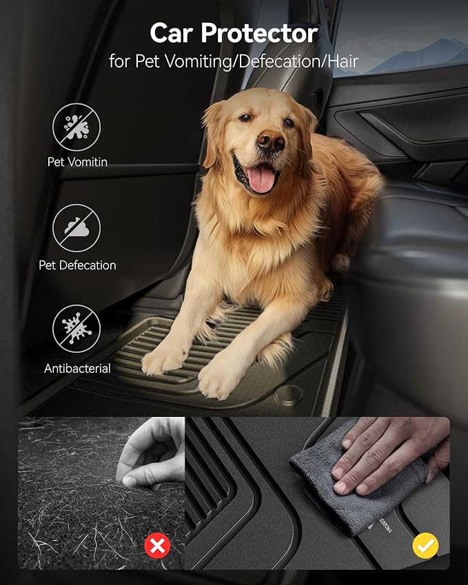 3W Floor Mats and Cargo Liner Fit - Image 9