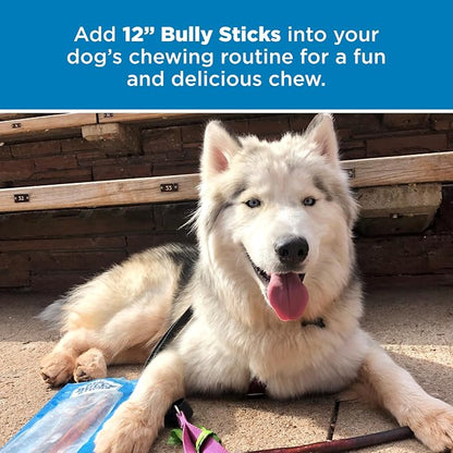 Best Bully Sticks 12 Inch Bully Sticks - Image 6