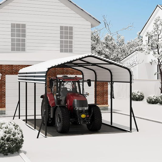 10' x 15' Heavy Duty Metal Carport by LuyFuitre