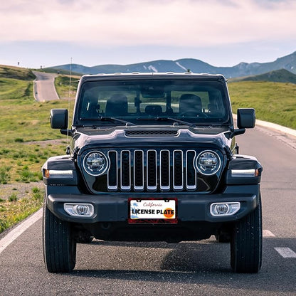 Red Spider Web License Plate Frame Funny Cobweb Stainless Steel License Plate - Image 6