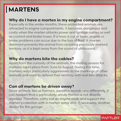 PATTLER® Marten Repellent for Car Engines - Image 9